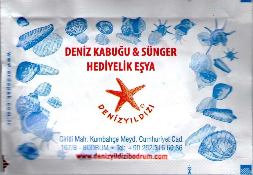 0229 Deniz Kabuğu - Bodrum